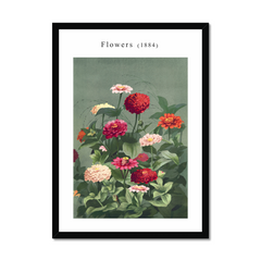 Flowers 1884