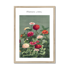 Flowers 1884
